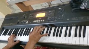 CASIO WK 110 DEMO - TECLAS HOUSE