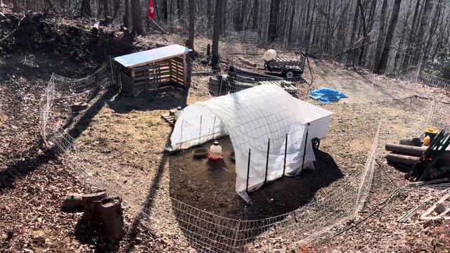 The Grass IS Greener: Using Silvopasture to Clear our Land смотреть онлайн