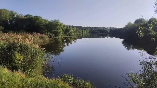 Он изменил ей во второй день свадьбы, её месть была не обычной... смотреть онлайн