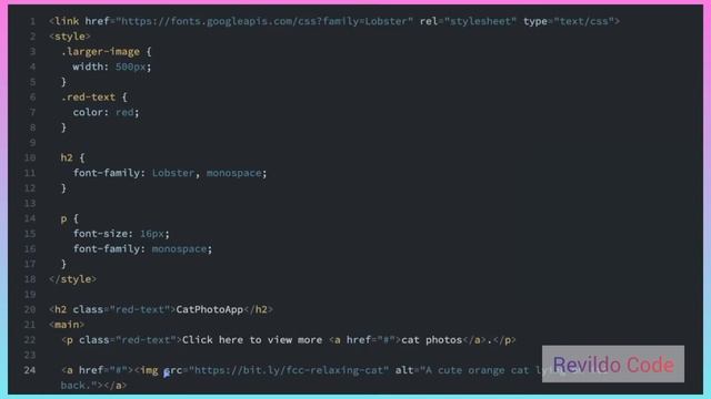 Size Your Image in CSS | CSS Full Course |#CSS | #revildo_code
