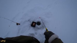 Рыбалка на судака зимой, ловля на балансир