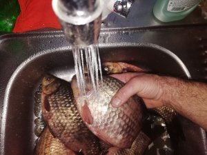 Как без ножа очистить рыбу от чешуи за одну минуту