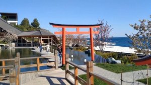 Японский сад Шесть чувств. Мрия Крым. Ниже цены не будет...