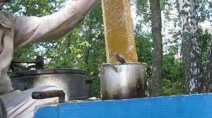 Откачка меда на кочевой пасеке / Pumping honey on a nomadic apiary