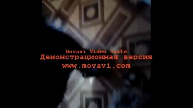 Гретта(Туська)- Бернский зенненхунд. смотреть онлайн
