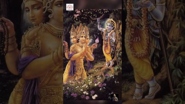 How to attain Krishna 🌺🥀💐#krishna #katha #sanatan #iskon #prabhupad #vrindavan #Kratudas смотреть онлайн