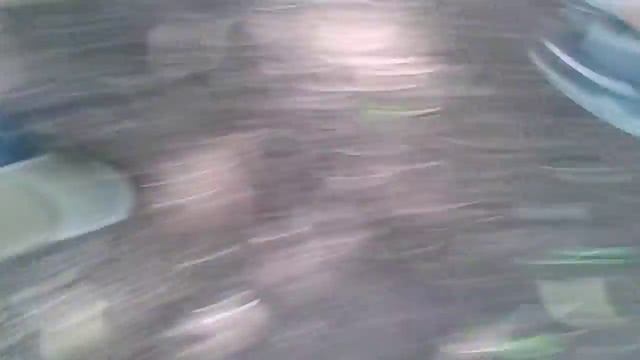 Мы ношли маника на реке нара в Серпухове он нас заметил смотреть онлайн