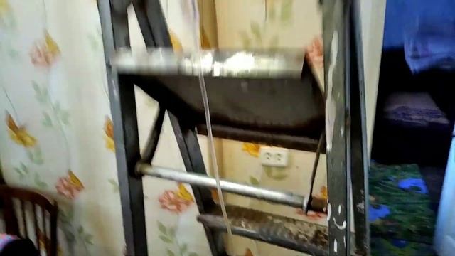 Калицивироз у кошки (2 часть) смотреть онлайн