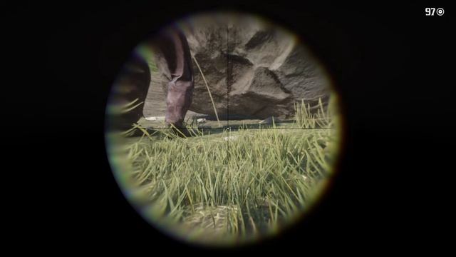 Команда разработчиков не думала, что кто-то попытается это сделать... - RDR 2