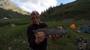 Наловили Хариуса в Горном Алтае Рыбалка на озере Тихом