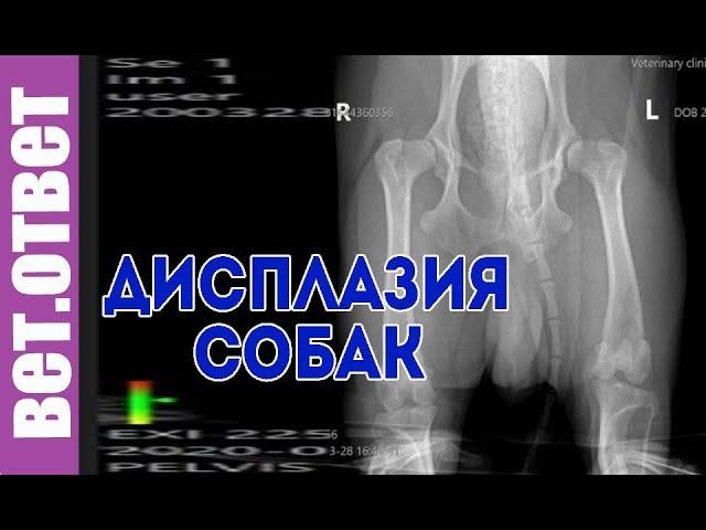 Дисплазия, что делать? Какие анализы нужно сдавать?