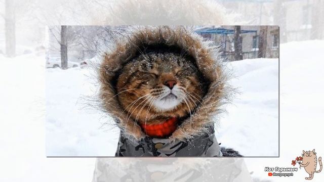 Зима наступила