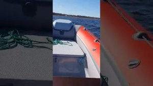 Риб River Boats Ривер ботс 430 +Tohatsu 9.9 efi