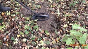 Multi-Kruzer| Поиск с детектором в лесу