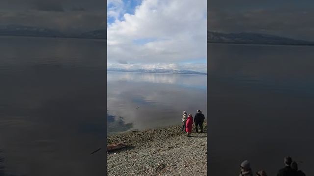 24.10.2021 г. #Камчатка, Авачинская бухта