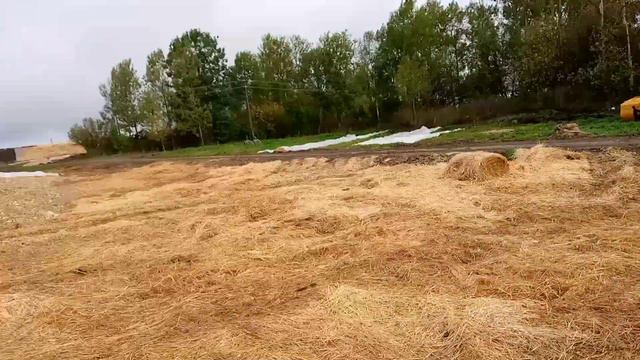 ✅Сельское хозяйство 🐄🚜🚛 2022г , Курганы🌦️🌧️🌤️ и Мучение рабочих 🤯🤬😤🤪 смотреть онлайн