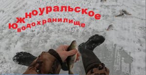 Ловля окуня на Южноуральском водохранилище.