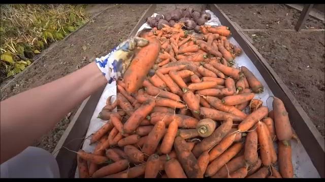 Не потопаешь — не полопаешь. Что это значит? смотреть онлайн