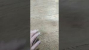Если линолеум полностью не клеить что бывает. Идиллия Нова Оксфорд 1