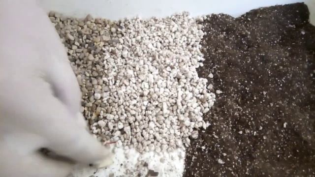 Почва за кактуси и сукуленти? :) Преценете сами. смотреть онлайн