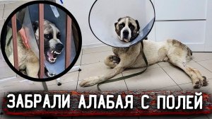 ОСТАНОВИЛОСЬ дыхание, привезли его домой, в клинике отказались переливать кровь, он умирает. 3 часть