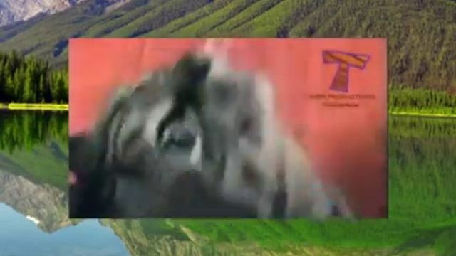 Животные кричат и делают смешные шумы смотреть онлайн