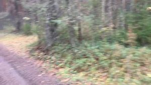 Ж.д.ст.Виледь Вилегодский район Архангельская область Россия лета 2023 от Р.Х., лета 7532 от С.М.