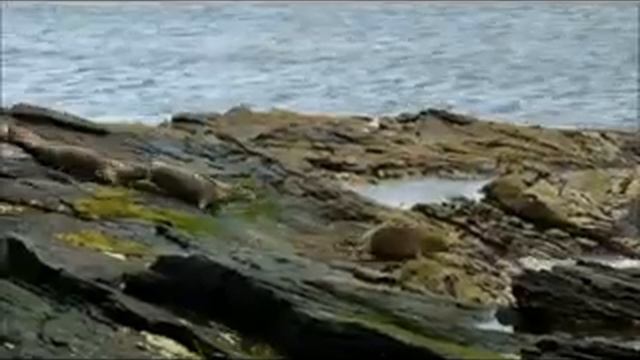 Lerwick Shetland Islands Scotland/Лервик Шетландские острова Шотлания