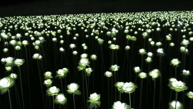 VLOG#11. Фестиваль светящихся роз на Тондэмуне смотреть онлайн