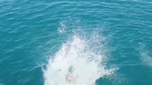 Архипо-Осиповка в море на «Барракуде»