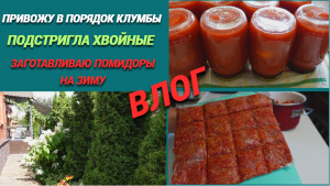 Влог/Делаю помидоры в собственном соку/Привожу в порядок клумбы/Подстригла хвойные