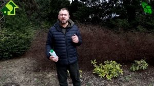 ОБРЕЗКА САДА БЕЗ ЛИШНИХ УСИЛИЙ. Чем замазать срезы после обрезки (и надо ли?).