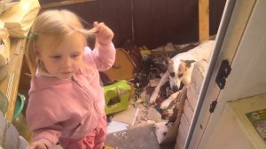 Джерик, кто насрал на балконе?