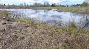 Пруд на даче:Когда будем копать и чистить пруды? Ротан из верши пойдёт на корм ракам из своего пруд