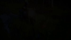 Мотовездеходы АТАМАН от Lebedev Motors VS осенней ГРЯЗИ (в 2-х частях)