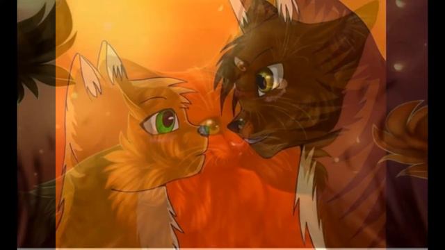 БЕЛКА И ЕЖЕВИКА смотреть онлайн