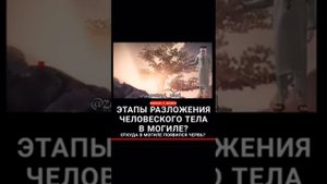 этапы разложения человеческого тела в могиле?