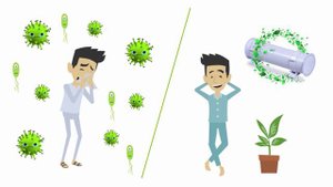 вирусы и бактерии