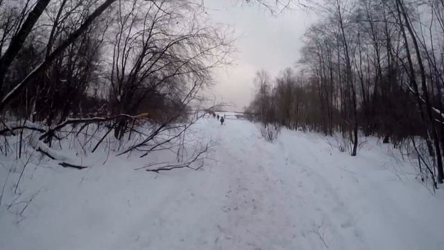 Башкирская порода лошадей "Буран. 20.12.2016" смотреть онлайн