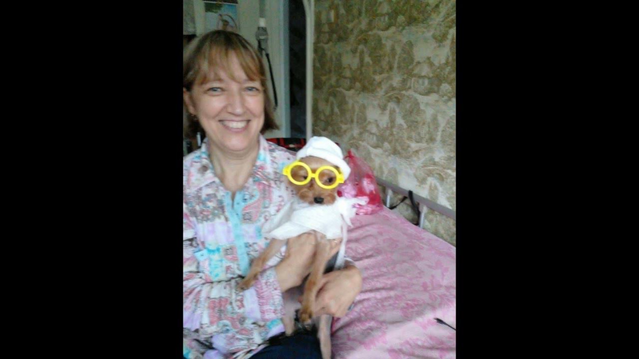 Доктор хорошего настроения! смотреть онлайн