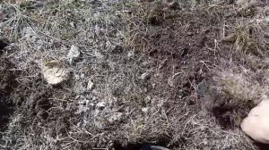 Поиск с китайским  Металлоискателям Z 30