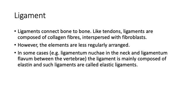 Sessions 6 and 7 TOB Connective tissue смотреть онлайн