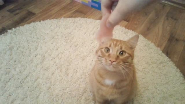 Так нужно есть смотреть онлайн