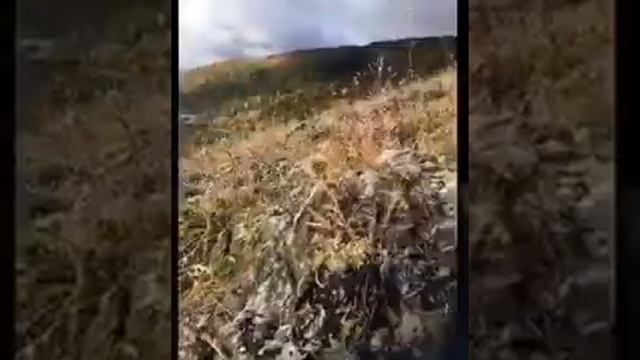 Самарская лука/ Жигулевские горы/ Самара