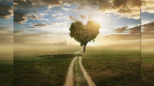 Дорогою добра