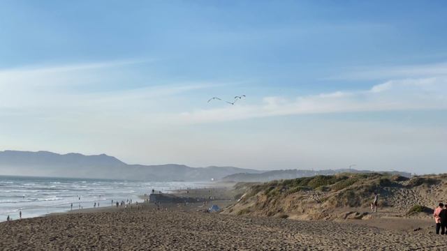 Вечер 8 июня, берег океана рядом с зоопарком Сан Франциско смотреть онлайн
