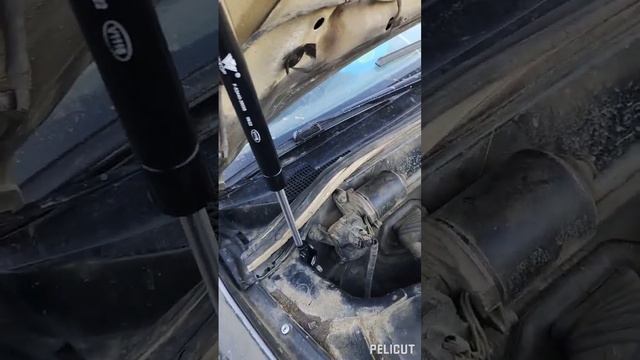 Тойота Камри SXV10, амортизаторы капота меняли, торсионы смотреть онлайн