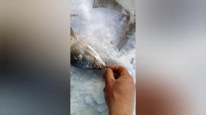 Лещ на Чумыше. Рыбалка в феврале. Алтайский край река Чумыш.