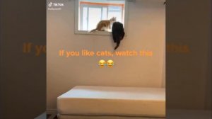 Попробуй не засмеяться челлендж #8