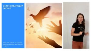 Из чего состоит дрессировка?